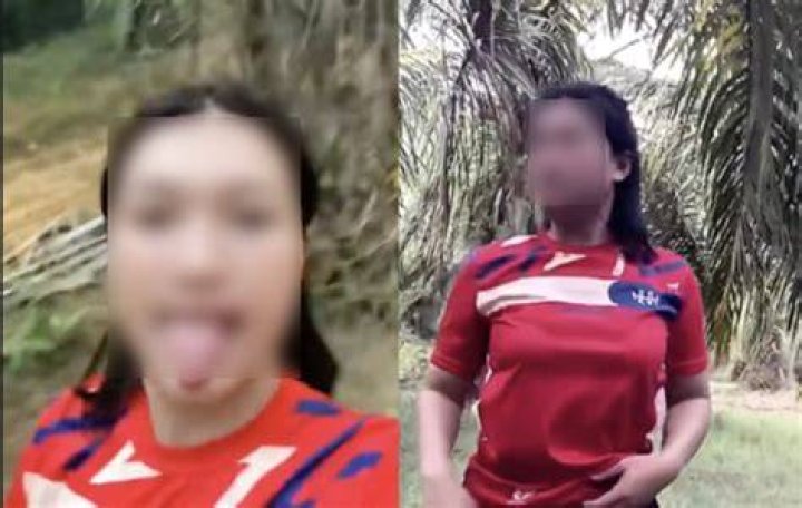 
Thailand Forest SC Ndl & Viral Kebun Sawit Link, What We Know About Yna Crystal Scandal 